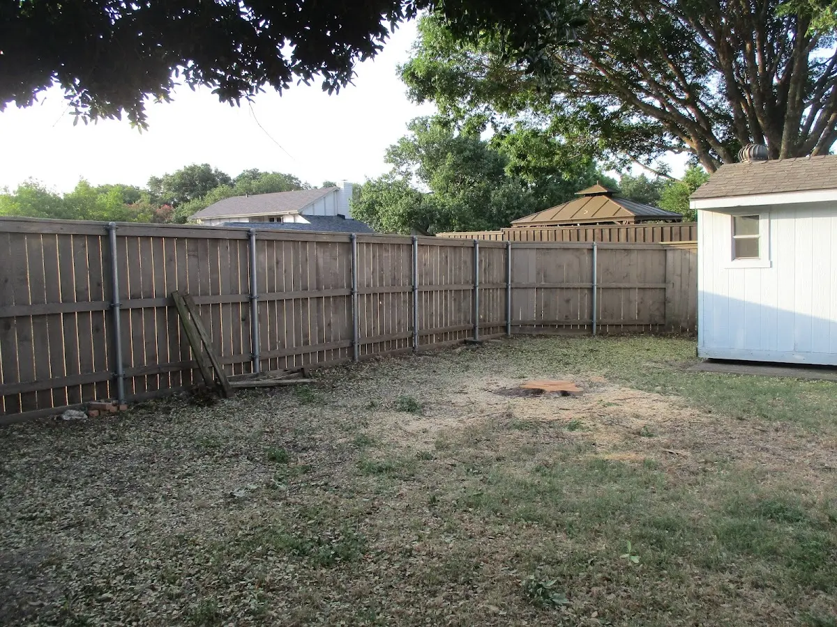 Cleared yard after professional tree removal in Hyde