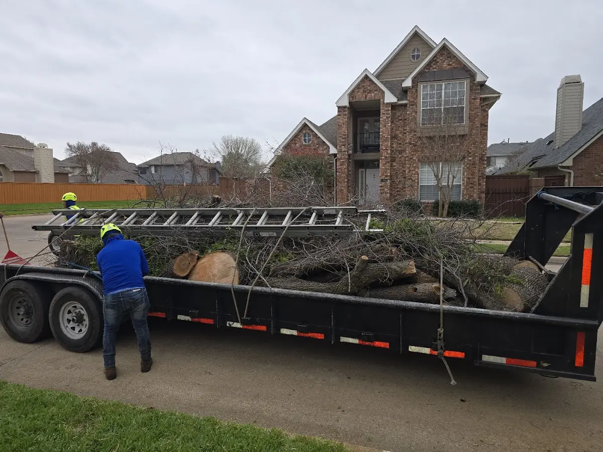 Expert Tree Removal with proper safety equipment in Hyde